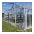 Venlo Glass Greenhouse для сельскохозяйственной цены пользовательский размер